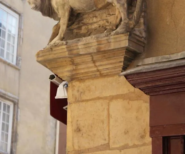 L'outarde Lejlighed Lyon