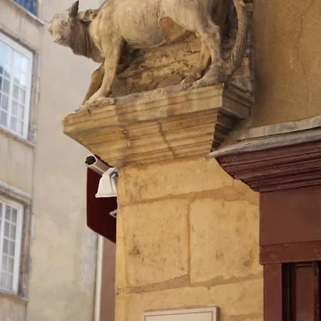 L'outarde Apartment Lyon